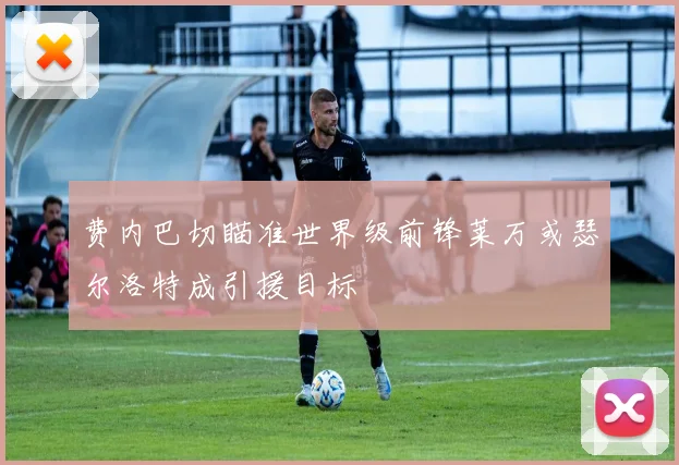 费内巴切瞄准世界级前锋莱万或瑟尔洛特成引援目标