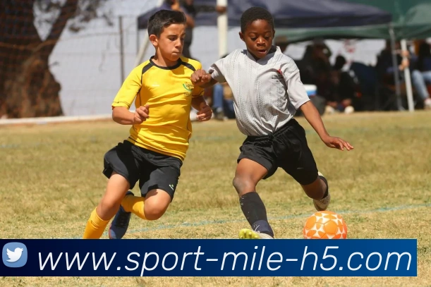 米乐体育发展历程