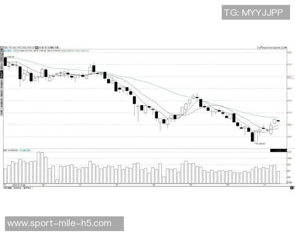 托哈：高标准要求助力反弹展现真实实力超越之前表现